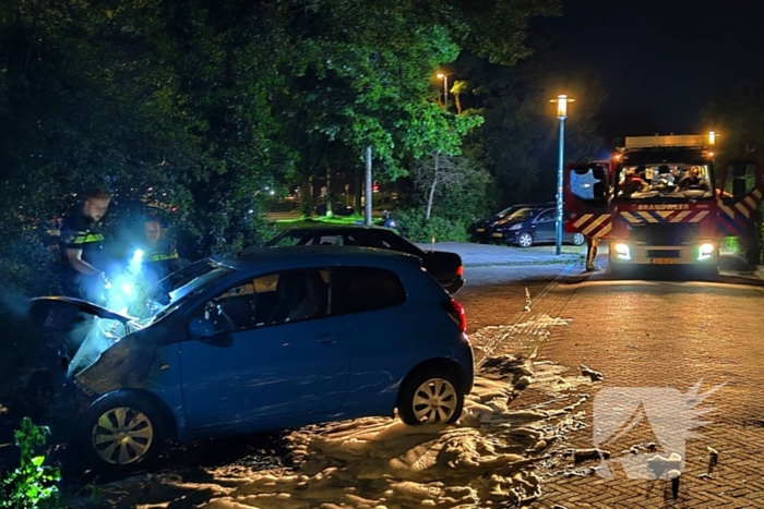 Voertuig in vlammen opgegaan