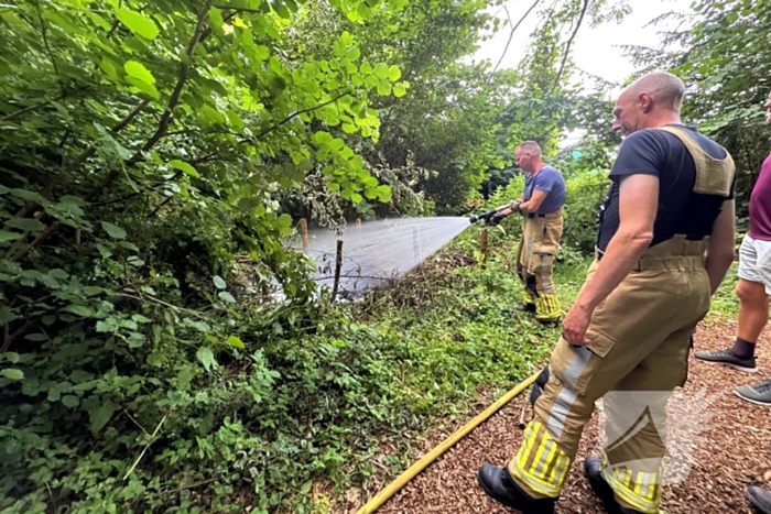 Passanten blussen brand in bosschages