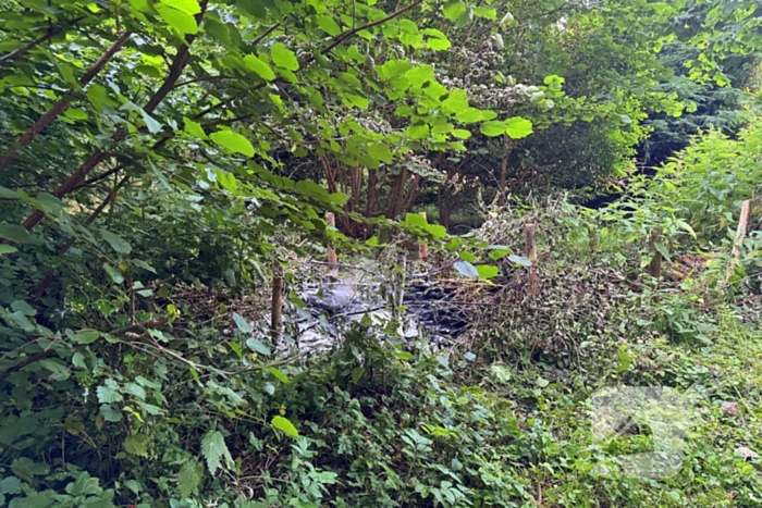 Passanten blussen brand in bosschages