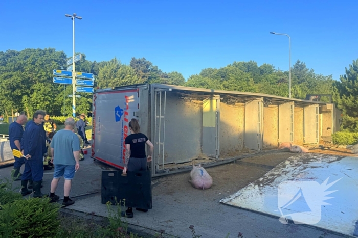 Vrachtwagen met varkens kantelt en blokkeert weg
