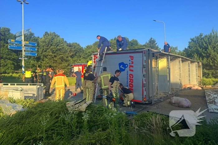 Vrachtwagen met varkens kantelt en blokkeert weg