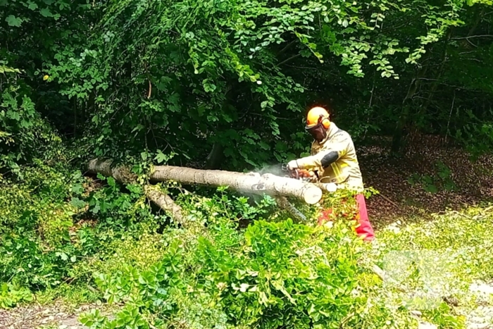 Boom blokkeert weg door stormschade