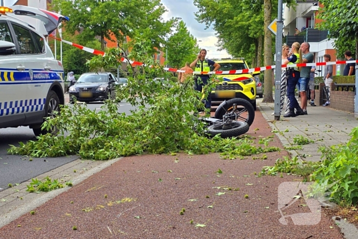Fatbiker krijgt tak op hoofd en raakt zwaargewond