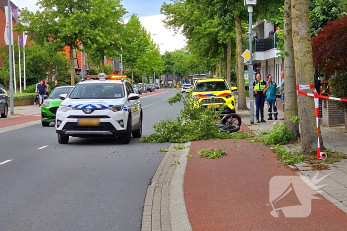 Fatbiker krijgt tak op hoofd en raakt zwaargewond
