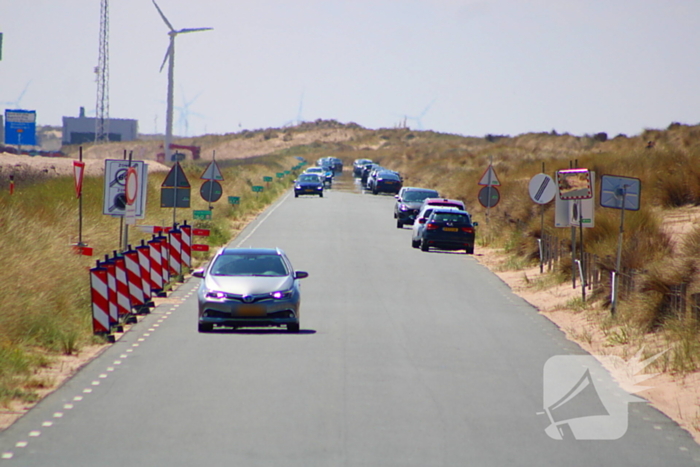 Mens en dier zoeken verkoeling aan het strand