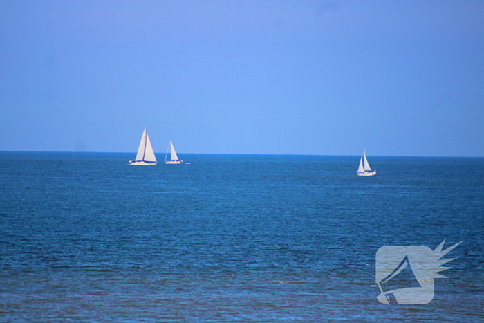 Mens en dier zoeken verkoeling aan het strand