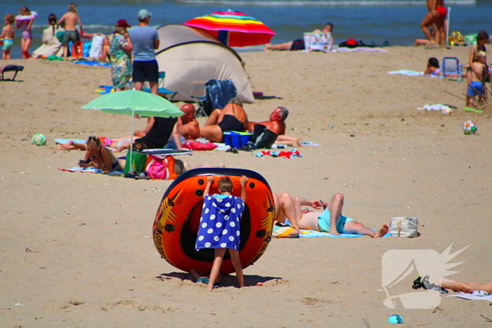 Mens en dier zoeken verkoeling aan het strand