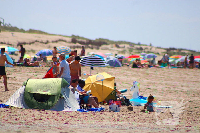 Mens en dier zoeken verkoeling aan het strand
