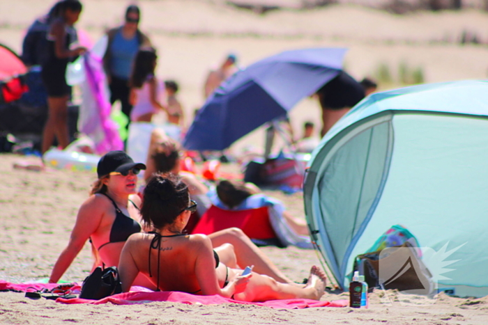 Mens en dier zoeken verkoeling aan het strand