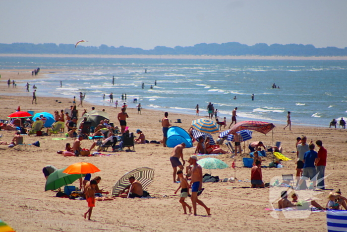 Mens en dier zoeken verkoeling aan het strand