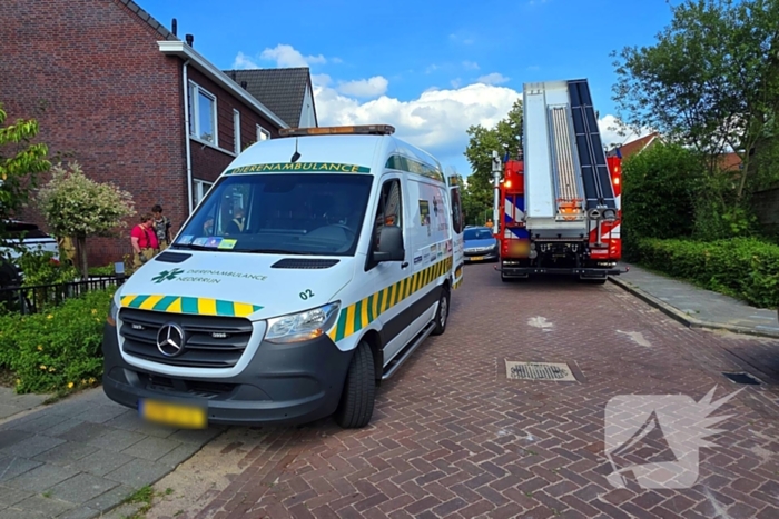 Zwaluw door brandweer bevrijdt uit nestkast