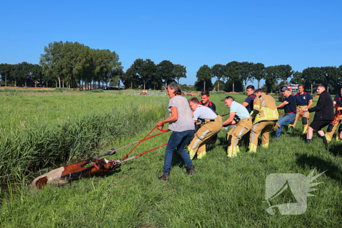 Paard succesvol gered uit sloot