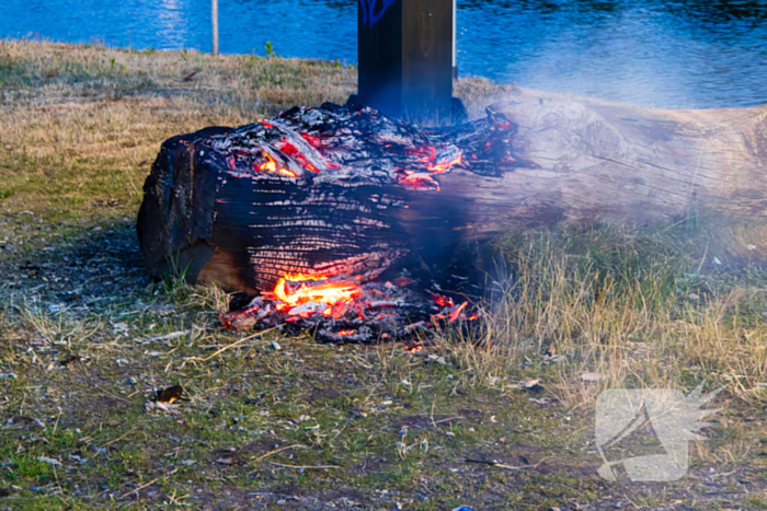 Mogelijke brandstichting bij boomstronk