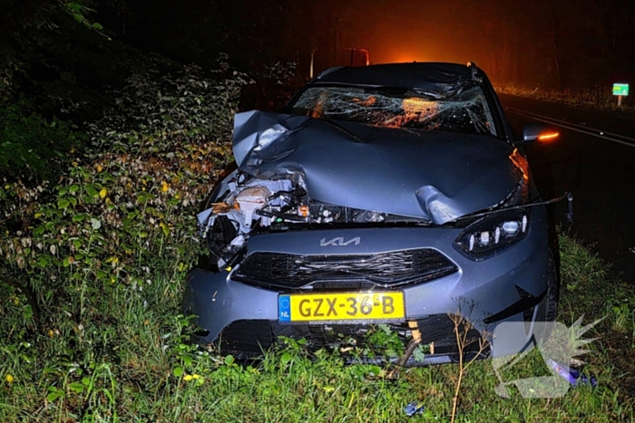 Automobiliste botst op afgebroken tak