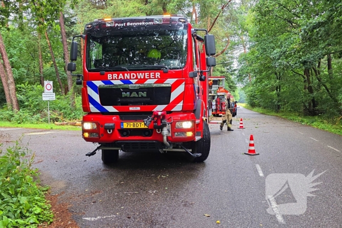 Boom veroorzaakt hinder na storm