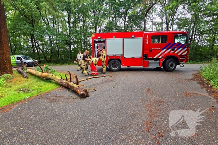 Boom veroorzaakt hinder na storm