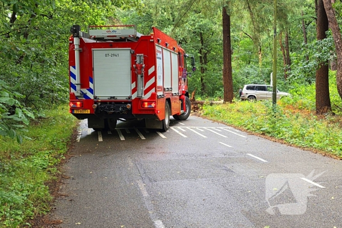 Boom veroorzaakt hinder na storm
