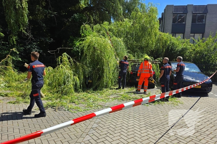 Drie auto's beschadigd door omvallende boom