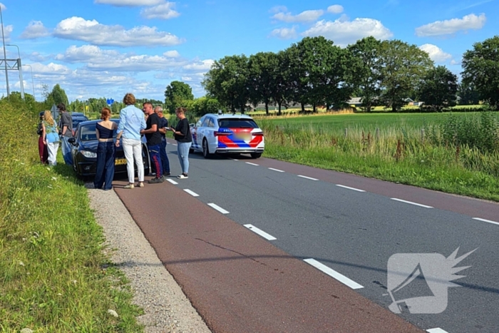 Hond aangereden door automobilist op snelweg
