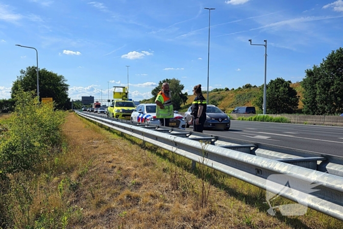 Hond aangereden door automobilist op snelweg