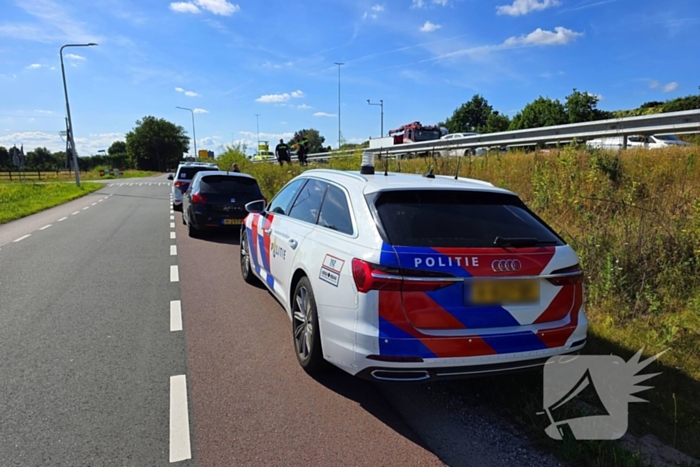 Hond aangereden door automobilist op snelweg