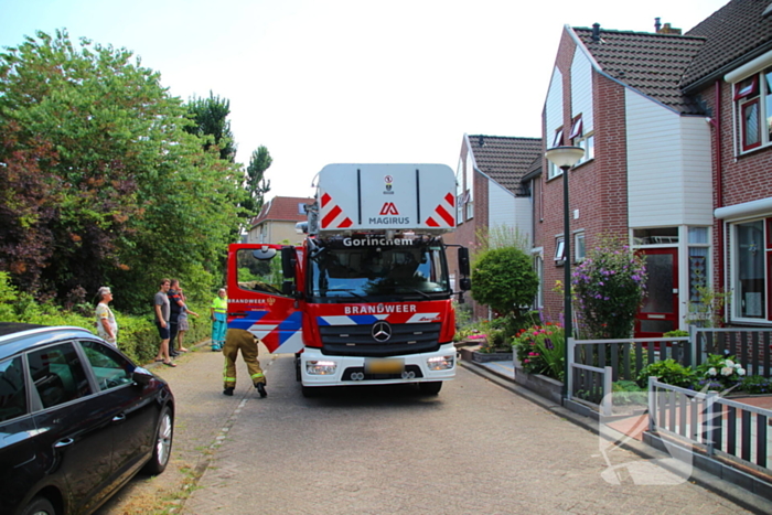 Dierenambulance in actie voor vastzittende kat