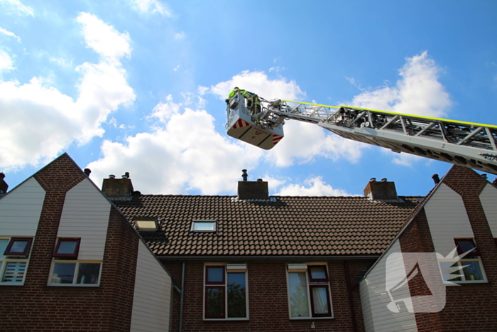 Dierenambulance in actie voor vastzittende kat