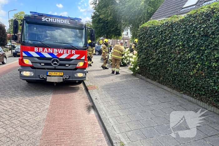 Wasdroger in brand, niemand gewond