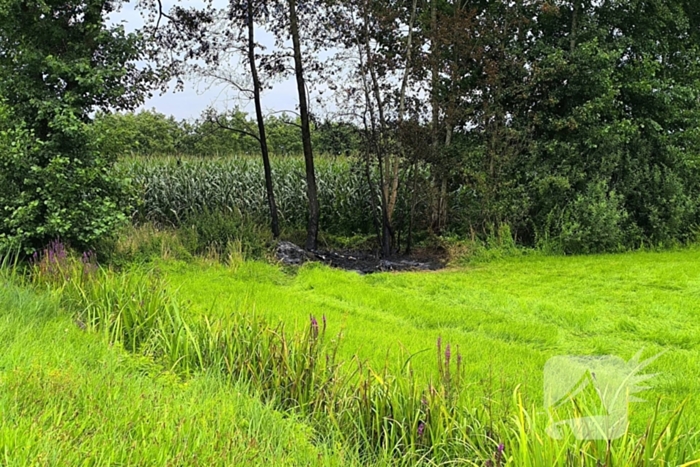 Vuur in berm snel onder controle