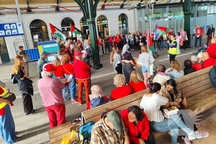 Demonstranten eisen aandacht voor Palestina