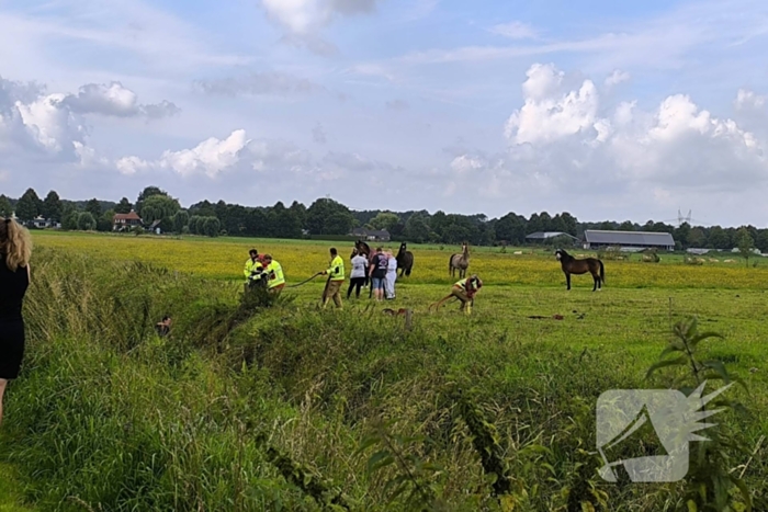 Brandweer redt dier uit benarde situatie