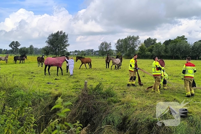 Brandweer redt dier uit benarde situatie