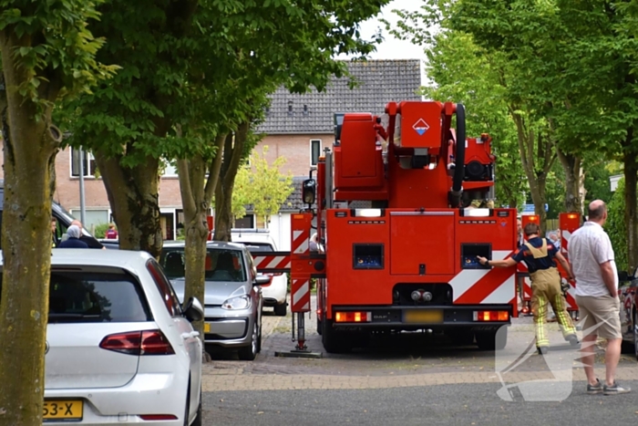 Brandweer redt kat uit boom