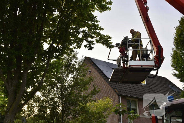 Brandweer redt kat uit boom