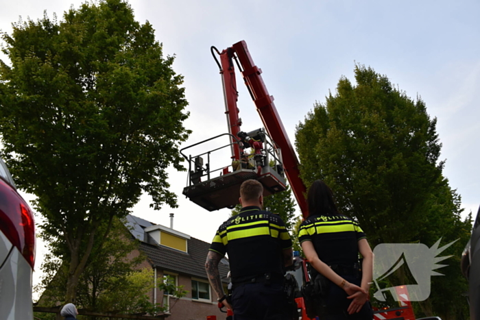 Brandweer redt kat uit boom
