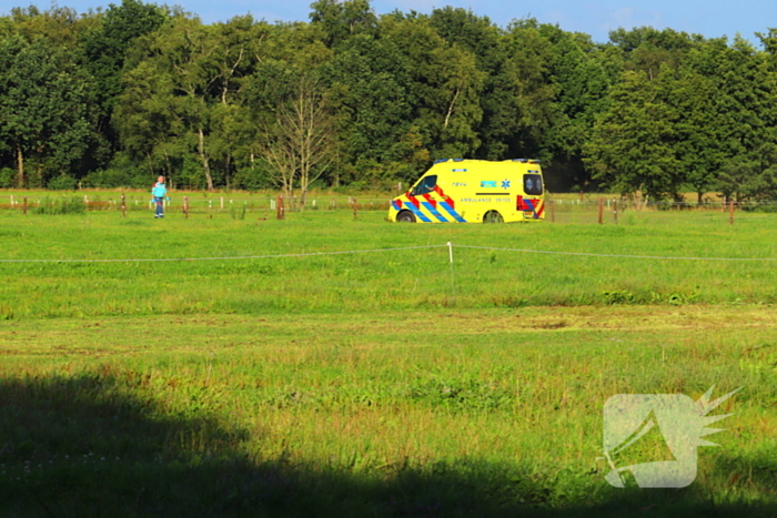 Traumateam ingezet bij noodsituatie in weiland