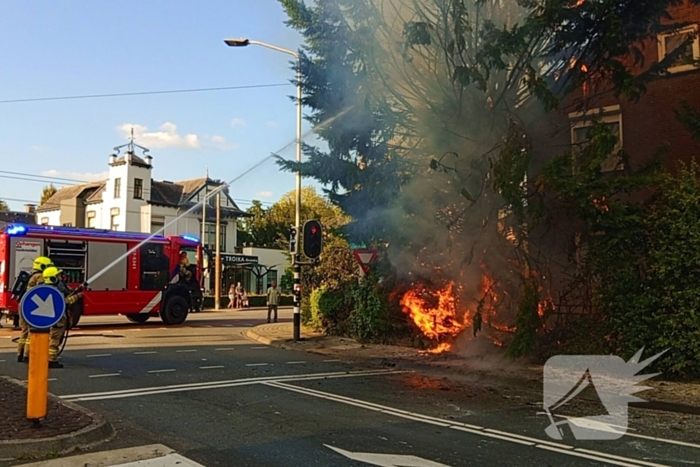 Flinke vlammen bij brand in conifeer