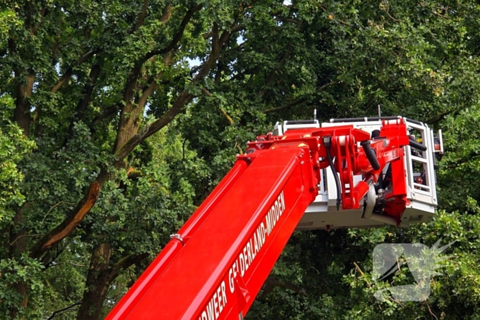 Brandweer verwijdert gevaarlijk hangende takken boven buurtmoestuin moestuin