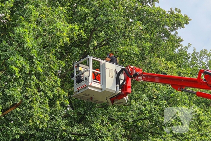 Brandweer verwijdert gevaarlijk hangende takken boven buurtmoestuin moestuin