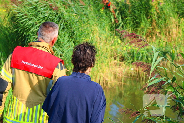 Reiger bevrijdt uit visdraad