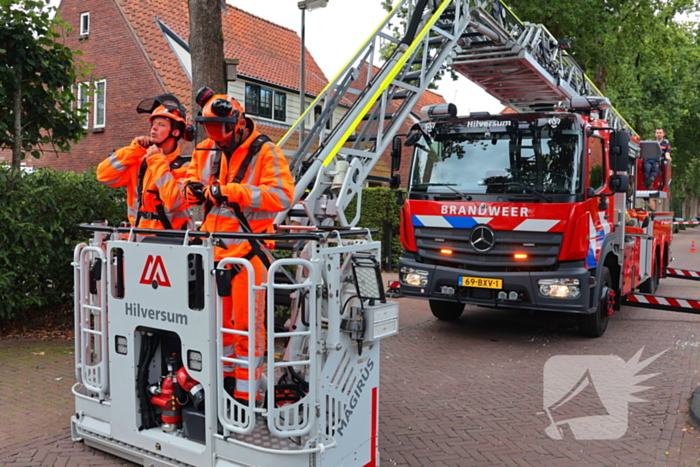 Gevaarlijke tak in boom verwijderd door brandweer