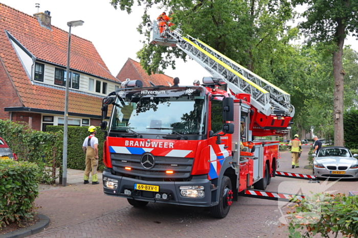 Gevaarlijke tak in boom verwijderd door brandweer