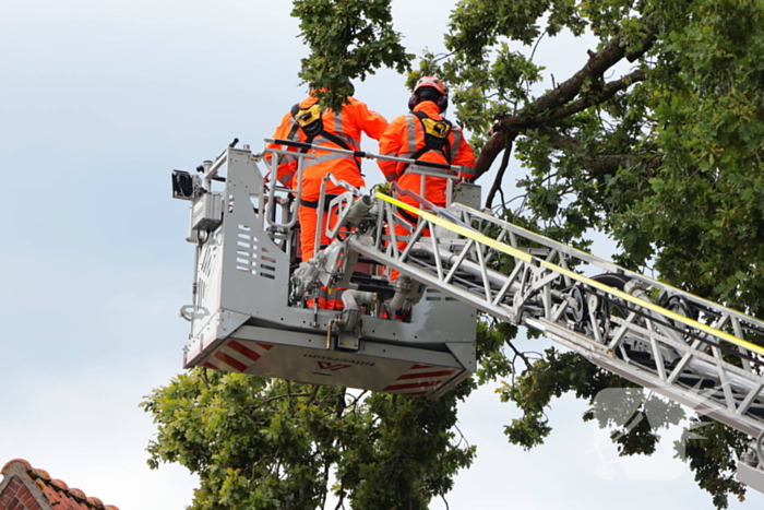 Gevaarlijke tak in boom verwijderd door brandweer