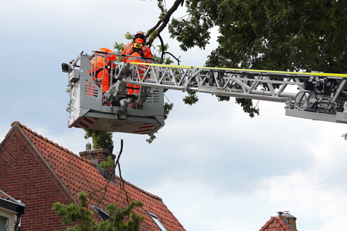 Gevaarlijke tak in boom verwijderd door brandweer