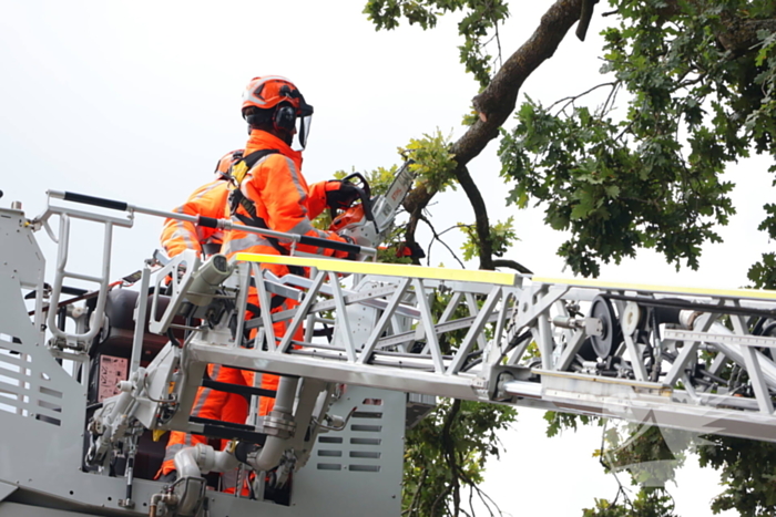 Gevaarlijke tak in boom verwijderd door brandweer