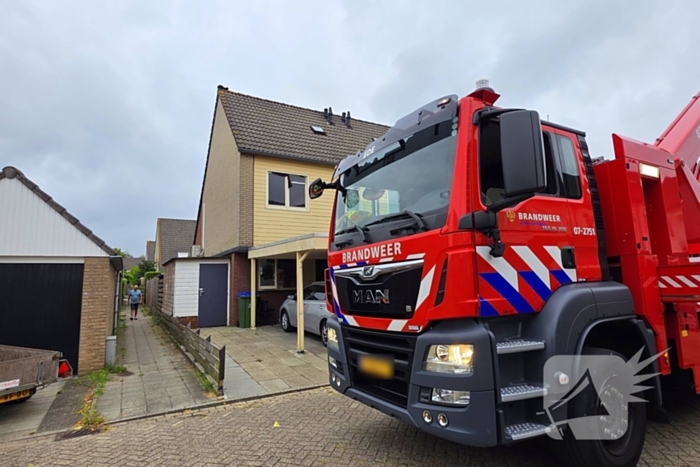 Kat in het bakkie voor Torito