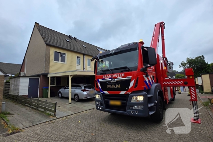 Kat in het bakkie voor Torito