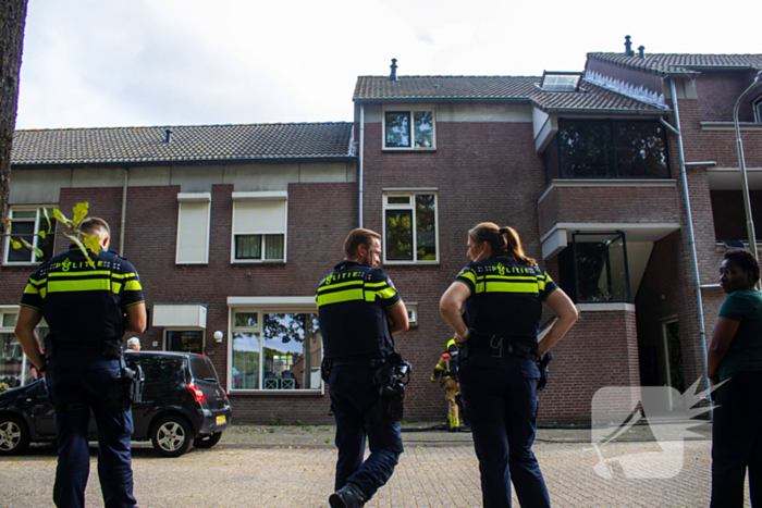 Kittens en kat gered bij brand in woning