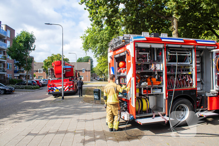 Kittens en kat gered bij brand in woning