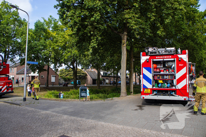 Kittens en kat gered bij brand in woning